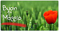 calipso 1maggio
