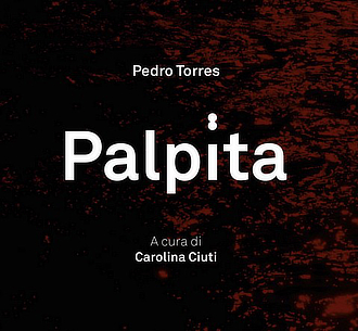 mostra AlbumArte PedroTorres