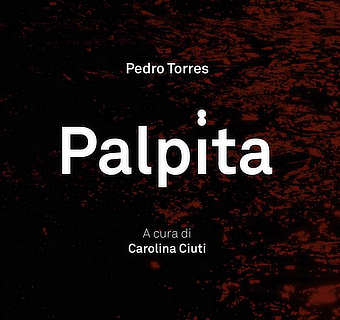 mostra Album Arte Pedro Torres
