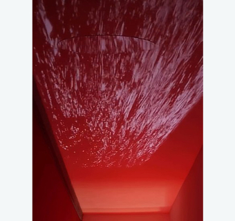 mostra Album Arte Pedro Torres