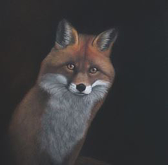 mostra CasaleDeiCedrati NaturaDiNotte