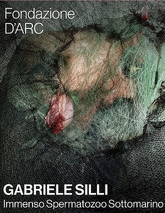mostra FondazioneDarc GabrieleSilli