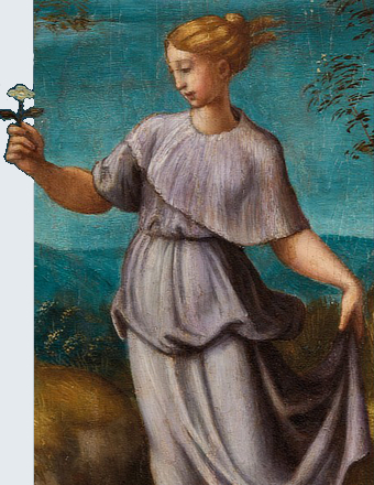 mostra Galleria Borghese Giovan Francesco Penni