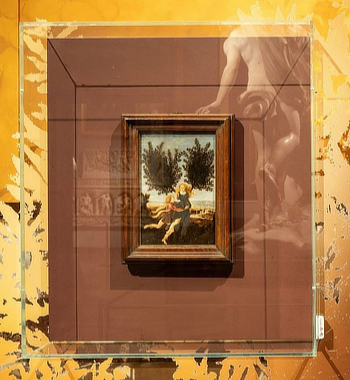 mostra Galleria Borghese Metamorfosi