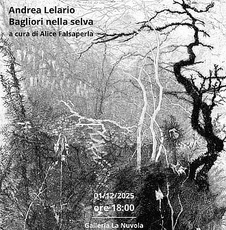 mostra GalleriaLaNuvola AndreaLelario