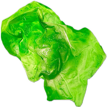 mostra Kon Forme Giusy Lauriola