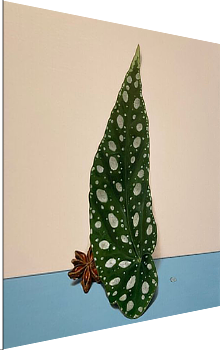 mostra Materia Francisca Valador