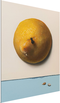mostra Materia Francisca Valador