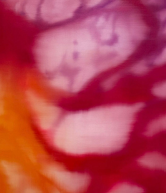 mostra Monti8 ImogenAllen