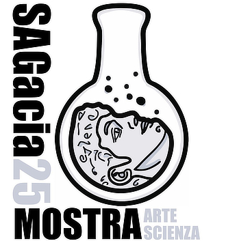 mostra MuseoChimicaPrimoLevi Sagacia2025
