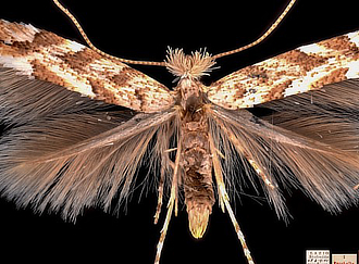 mostra MuseoCivicoZoologia Biodiversita