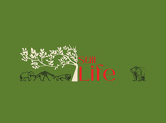 mostra MuseoCivicoZoologia StillLife