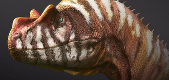 mostra MuseoOrtoBotanico ImperoDeiDinosauri