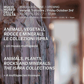mostra MuseoPigorini AnimaliVegetaliRocceMinerali