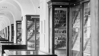 mostra MuseoPigorini OriginiProspettive