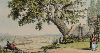 mostra MuseoTrastevere AlberoDelPoeta