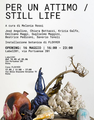 mostra Portuense201 StillLife
