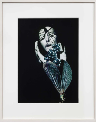 mostra RichardSaltoun UnveiledDesires