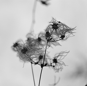 mostra RossoCinabro ConGliOcchiDiUnArtista