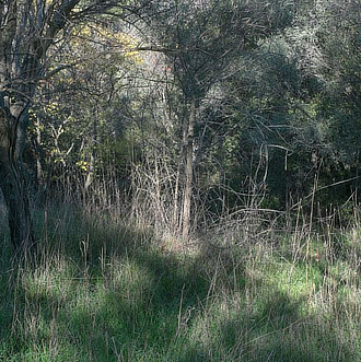 mostra RossoCinabro NatureSpeaks