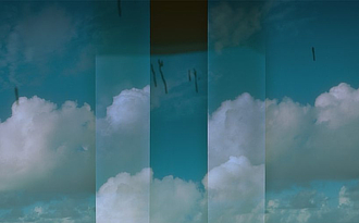 mostra Zema OnBecomingAWolf