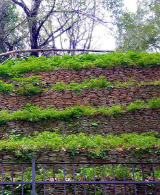Monte de Cocci