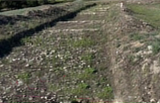 Villa Romana di Valle Santa