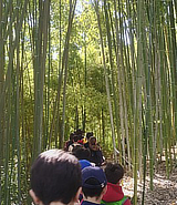 evento MuseoOrtoBotanico PiccoliGiardinieriCrescono