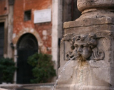 fontane Roma