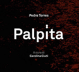 mostra AlbumArte PedroTorres