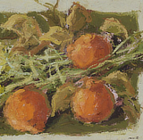 mostra Edarcom IlRichiamoDeiSensi