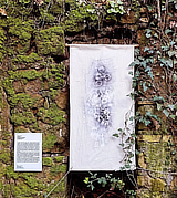 mostra ParcoDellaCervelletta Metamorfosi